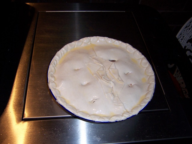 100_1182-1.JPG