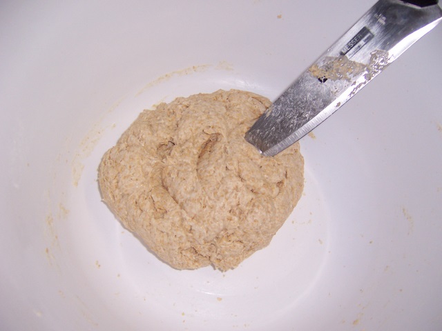 100_1511-1.JPG