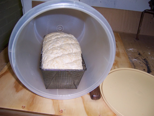 100_1516-1.JPG