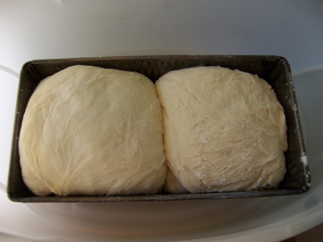 100_1525-1.JPG