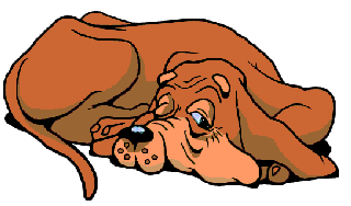 1b8478c_001.gif