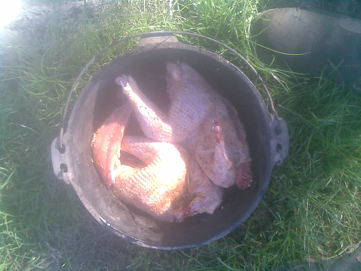 29042012_002_.jpg