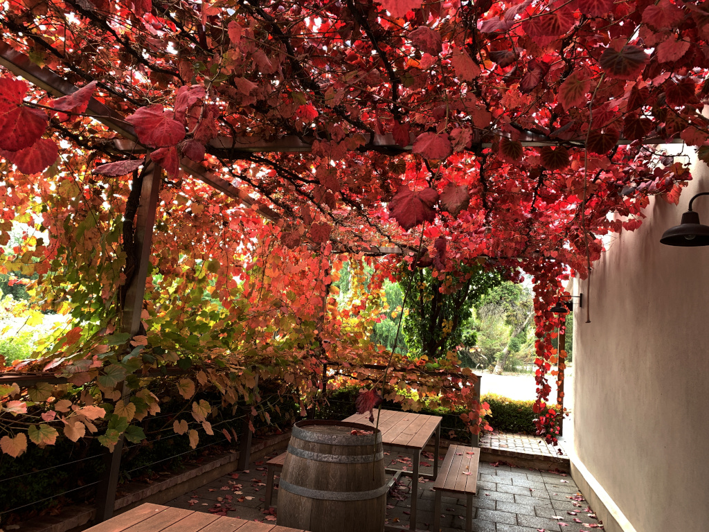 Arbour_May_2022.jpg