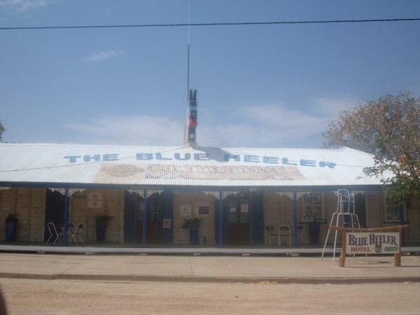 Blue_Heeler_Hotel.jpg