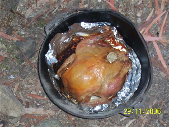 CO_CHOOK_Small_001.jpg