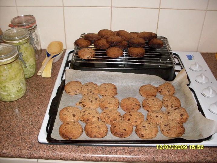 Carolyns_Cookies_12-7-09.JPG