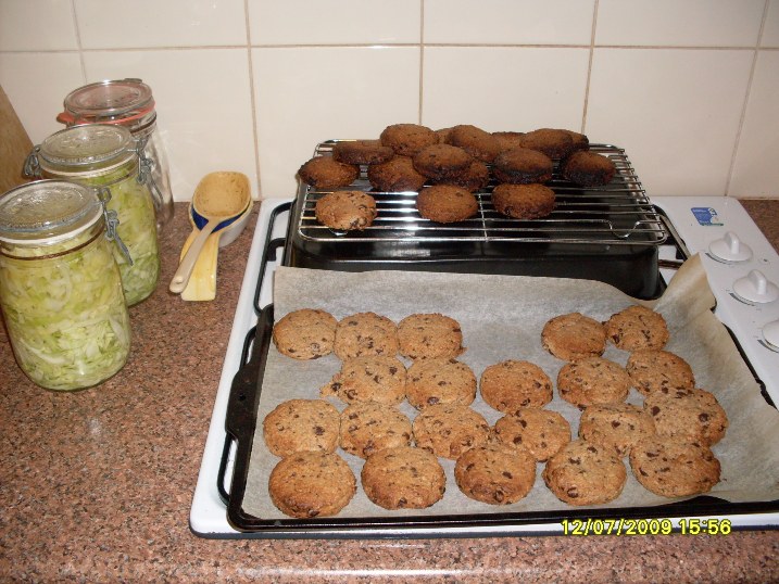 Caronlyn_Cookies_12-7-09__1_.JPG