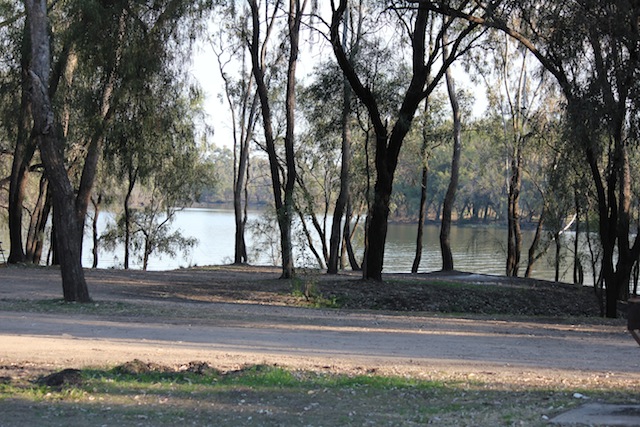 Chinweir3.JPG