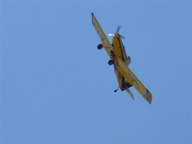 DSC01552_Small.JPG
