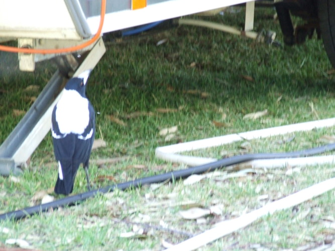 DSCF0182.JPG