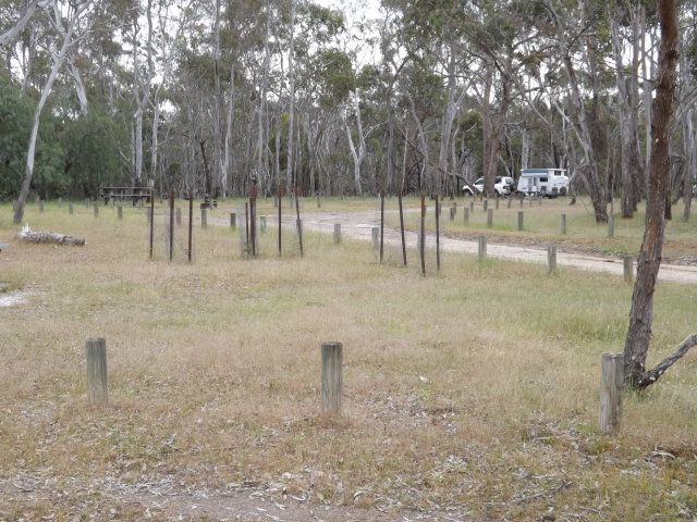 DSCF0811.JPG