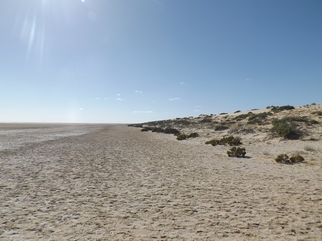 DSCF2719.JPG