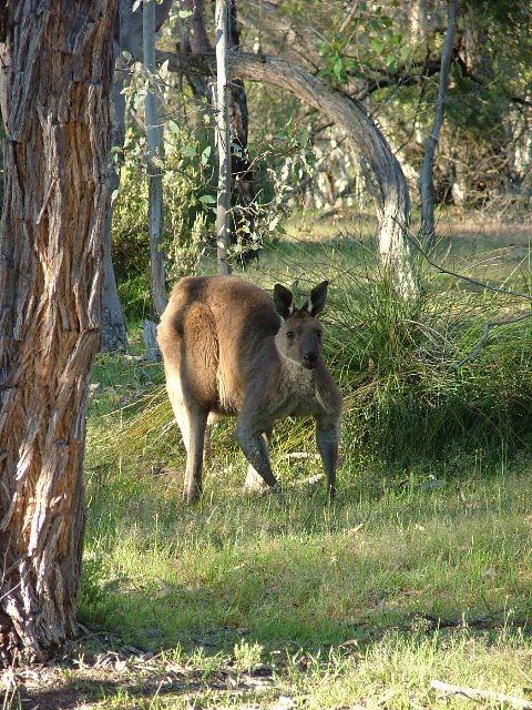 DSCF3048.JPG