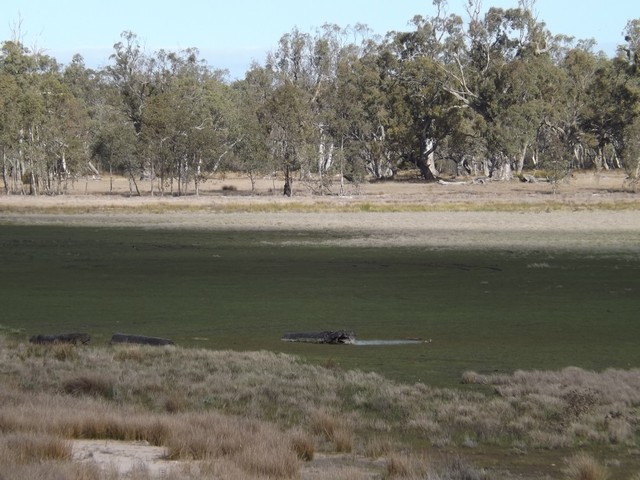 DSCF3814.jpg