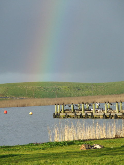 DSCF4907.JPG