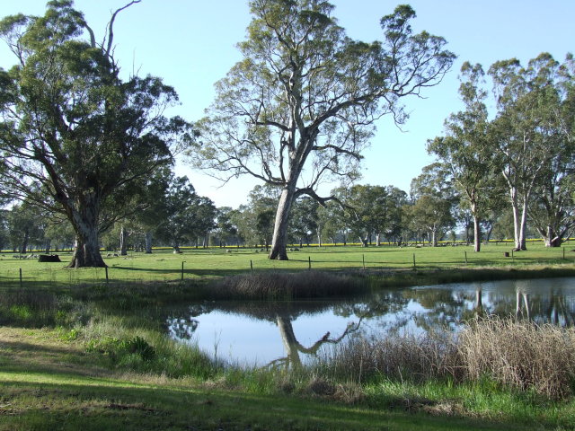 DSCF4959.JPG