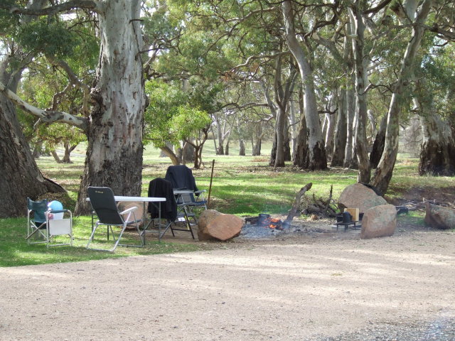 DSCF5335.JPG