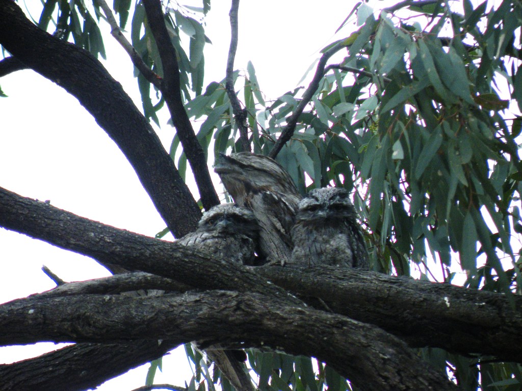 DSCF5726.JPG