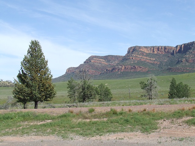 DSCF6308.JPG