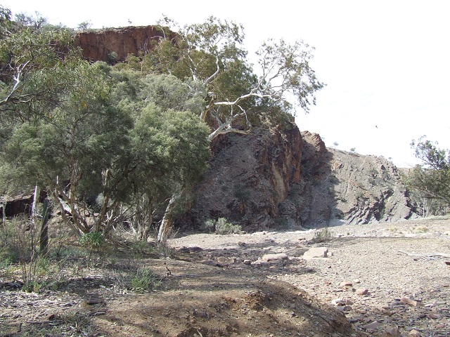 DSCF6391.JPG