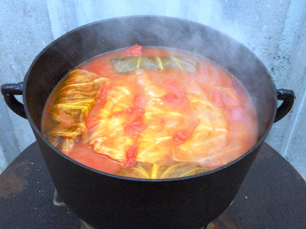 DSCF6404_001.JPG