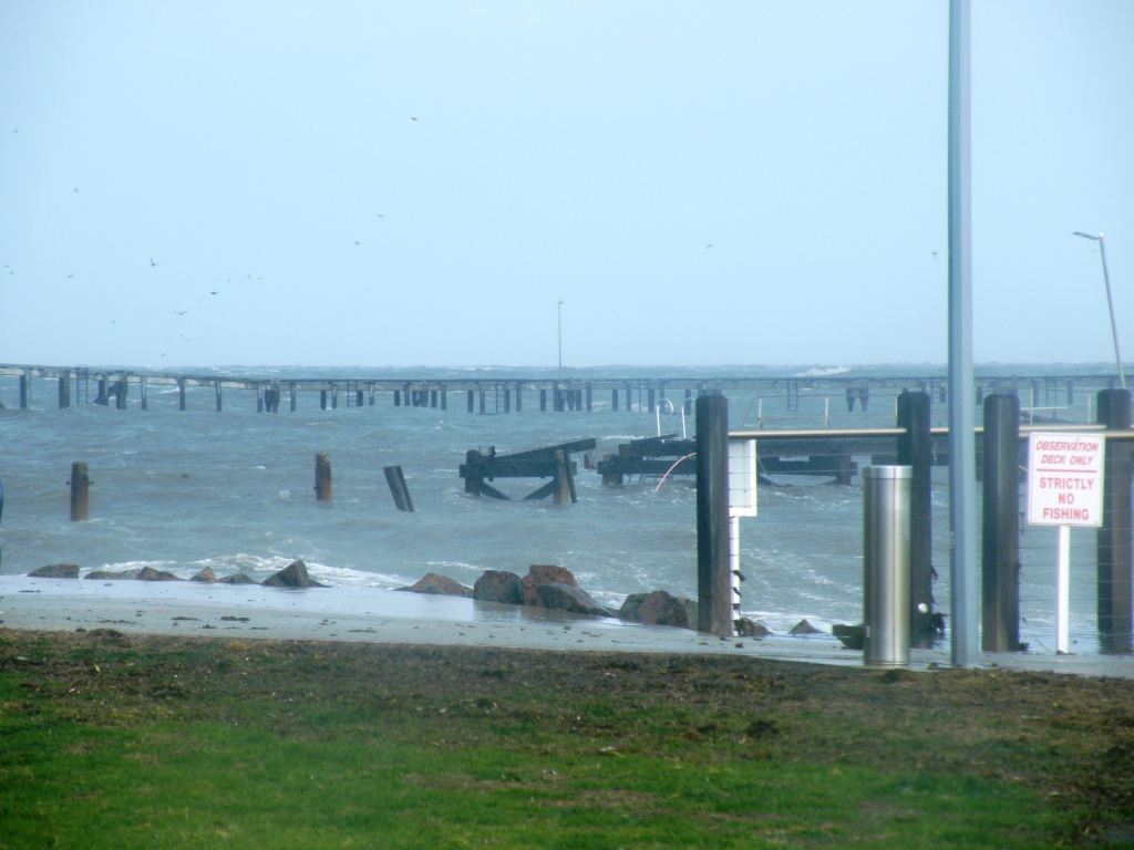 DSCF6541.JPG