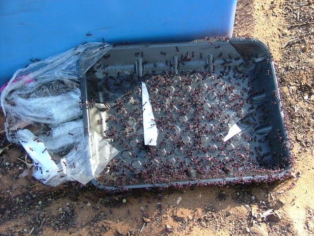 DSCF6910.JPG
