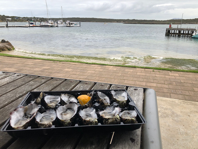 IMG_0606_001.jpeg