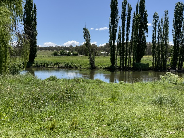 IMG_0904.jpeg