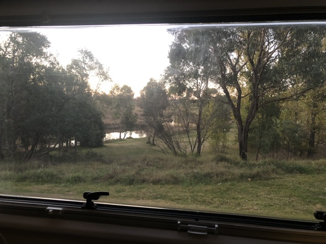 IMG_2302.jpeg