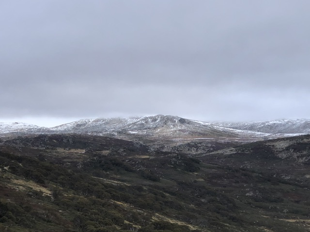 IMG_2410.jpeg