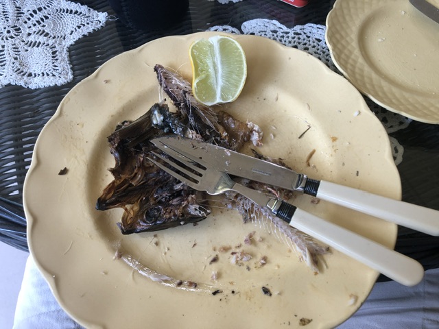 IMG_2676.jpeg
