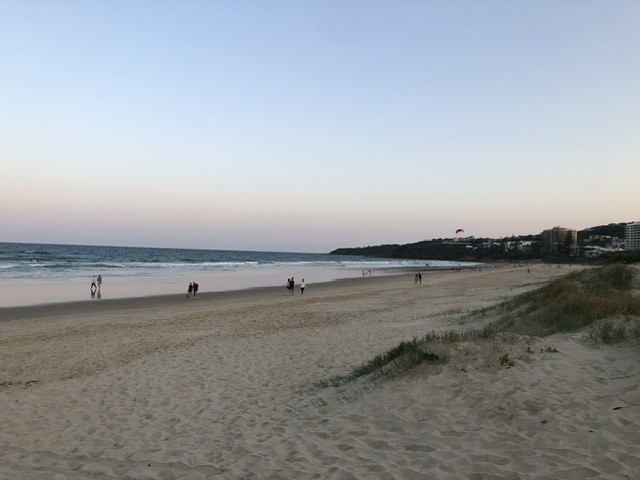 IMG_2727.jpeg