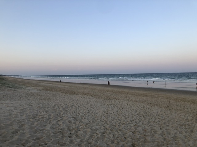 IMG_2728.jpeg