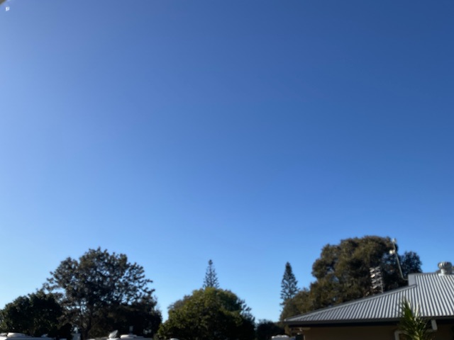 IMG_3370_001.jpeg