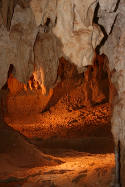 IMG_4896.JPG