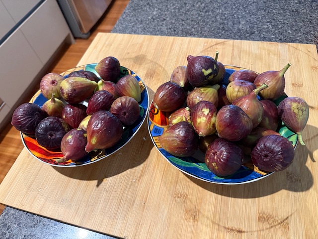 IMG_5571.jpeg