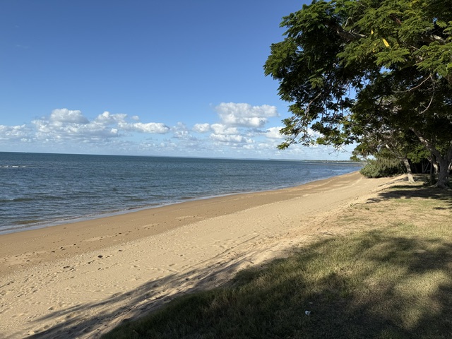 IMG_5972.jpeg