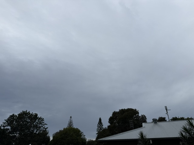 IMG_6180.jpeg