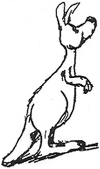 Kangaroo.gif
