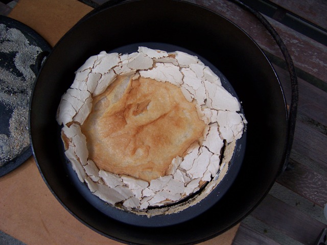 Pav02.JPG