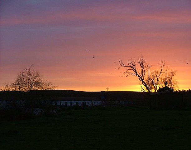 Picture_051.jpg