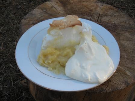 Pineapple_Meringue_Pudding_3.jpg