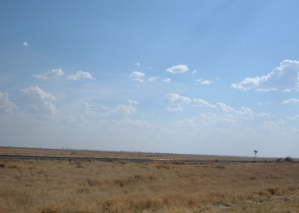 Richmond_Grass_Flats.jpg