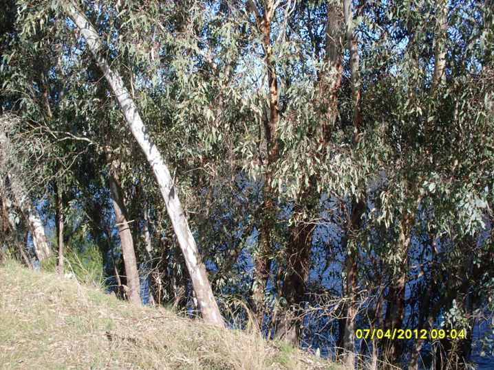 SDC12131.JPG