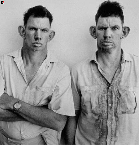 The_Brothers_001.jpg