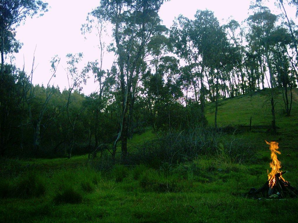 Trip_20012.jpg