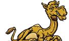 camel.jpg