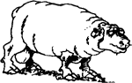 cecil2.gif