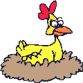 chook.GIF